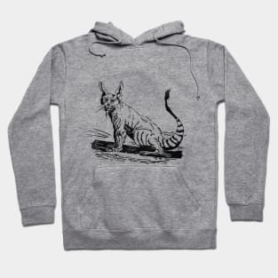 Civet Cat Hoodie